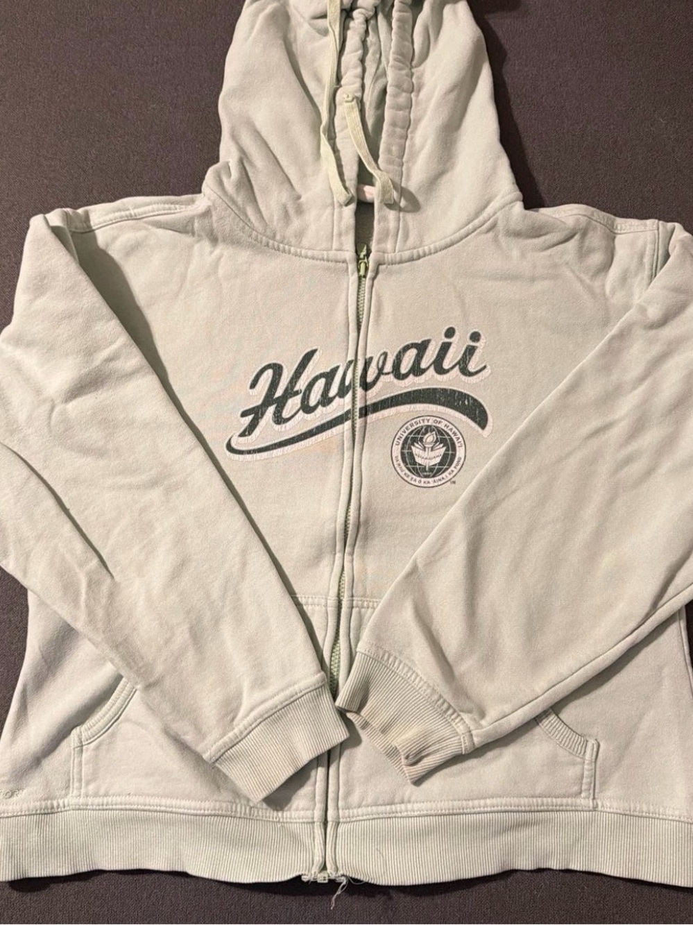 Hawaii Graphic Zip-Up Hoodie in Light Mint